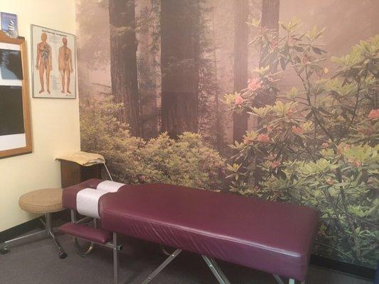 One of many treatment rooms