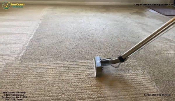 Carpet Steam Cleaning