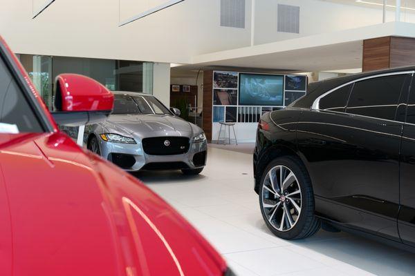 Jaguar Louisville showroom