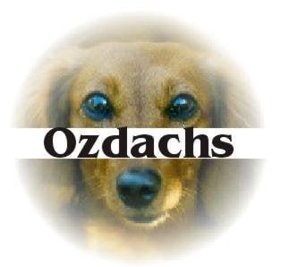 Ozdachs Web Design and Internet Promotion logo