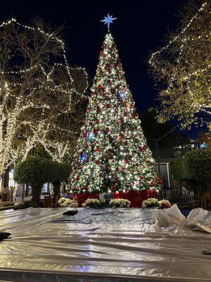 This is a beautiful Christmas Tree, that is located in Santana Row, directly across the street from the office of Dr. Gregory Salerno PhD.