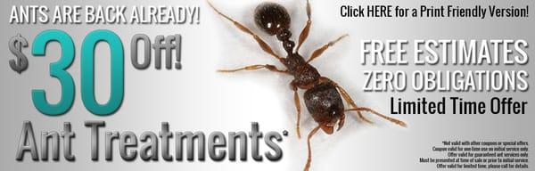 Ants are back already! Check out our great SPECIAL OFFERS!