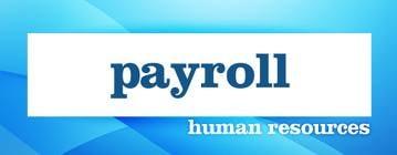 Our On-Line payroll services are 1/2 the price of other full service payroll companies. Plus you get personal attention!