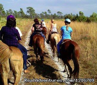 Take a trip on horseback through beautiful Okeechobee.