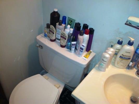 Toilet, walls and counter after a deep scrub. Beautiful!