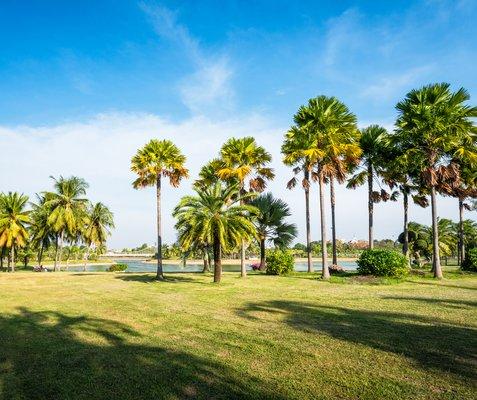 Real Estate in Sarasota Florida Golfing Community