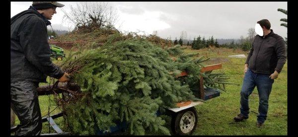 Snow Valley Christmas Tree Farm