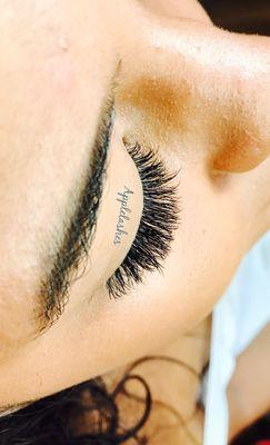 Volume LASHES's