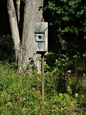 New Jersey Audubon Society