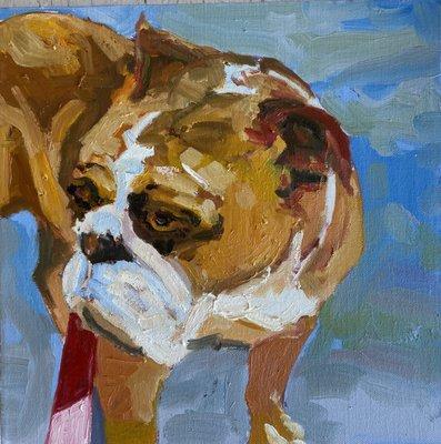 12"x12" custom dog portrait painting in oil paint with an atmospheric background