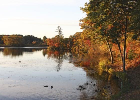 Fall reflections