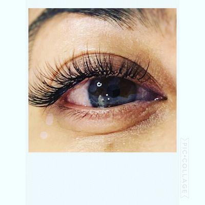 Pavlina's Eyelash Boutique