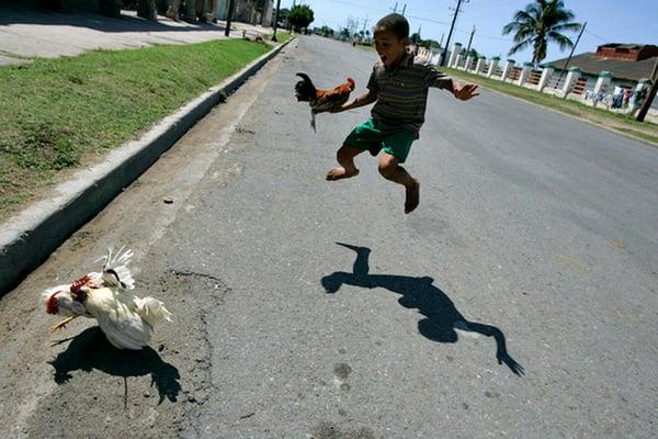 A boy reacts to an impromptu cockfight on the street while passing time with friends in Cienfuegos, Cuba.