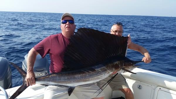 West Palm Beach Sailfish!