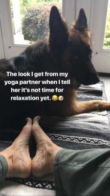 Partner Yoga, 2019