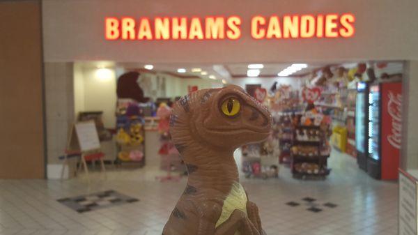 Bob the Raptor Says "Mammals come here to get candy and soda prey."