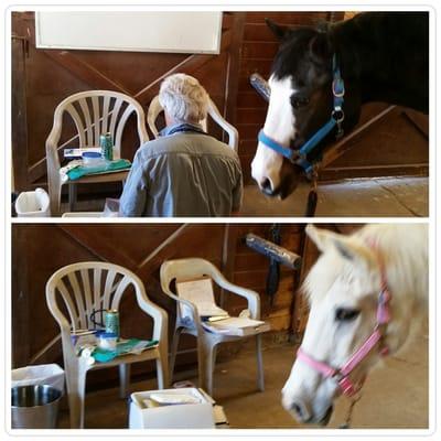 Love the bi-annual vet clinics to keep the horses up date and covered preventatively