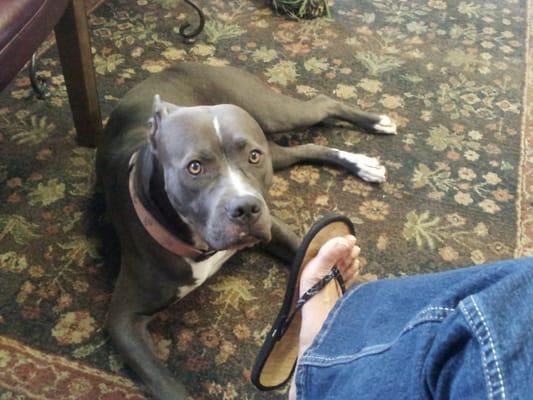 Daisy, Hair Rock Cafe's customer greeter and always optimistic.