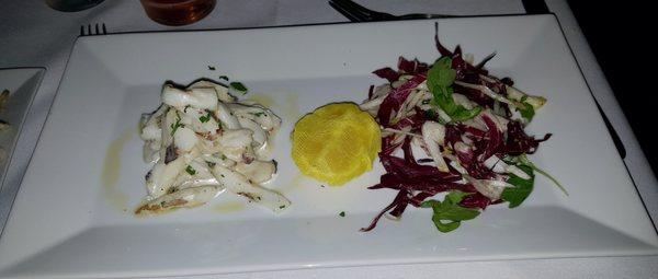 Calamari Appetizer