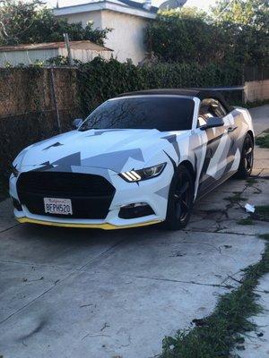 My mustang