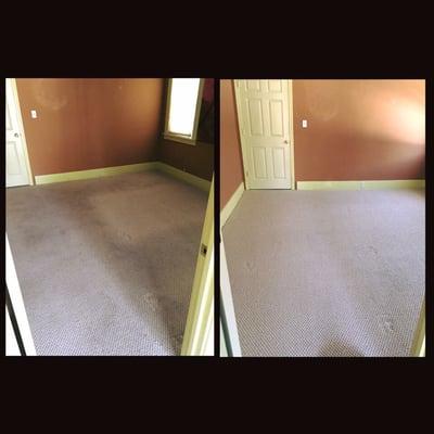 Carpet Cleaning service.