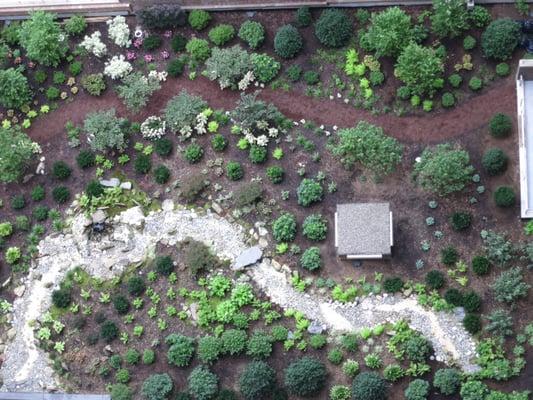 Rooftop garden on the Upper West Side Manhattan.    The theme of this design was, "The Edge of the Woods."