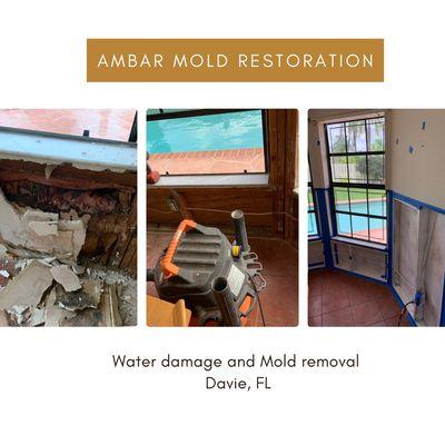 Another water damage and mold removal job done by our professional team