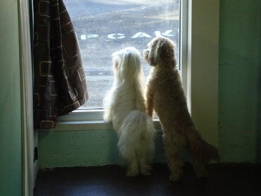 Checking out the neighborhood!