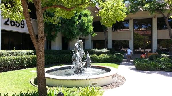 Dr. Chopyak's office entrance is just to the right of the fountain.