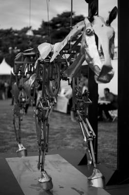 Mechanical horse