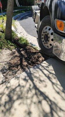 Damaged parkway and driveway