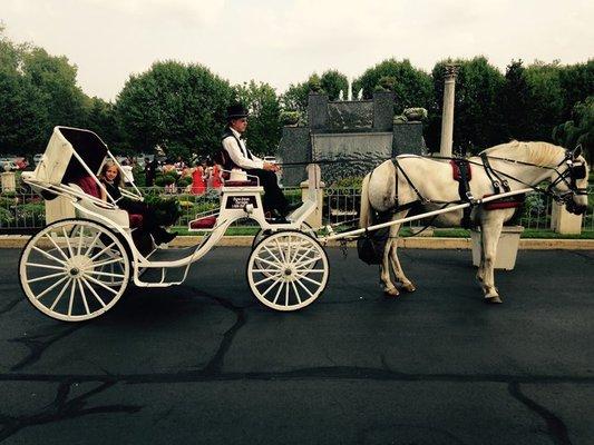 New Freedom Horse Drawn Carriages