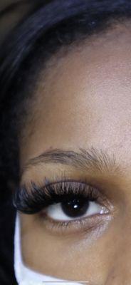 Volume lashes