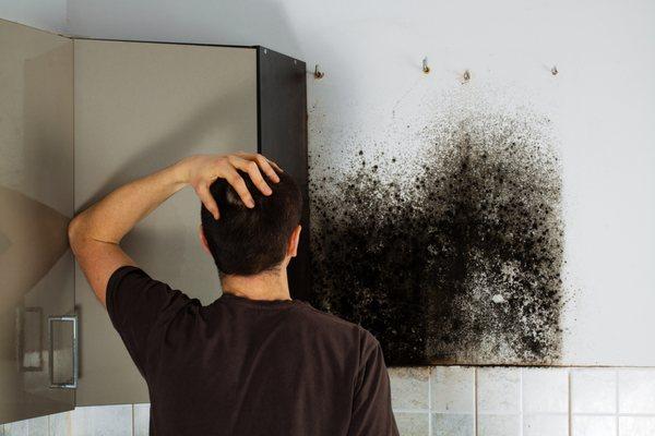 Cleantec will help you eliminate mold growth in your home or business.