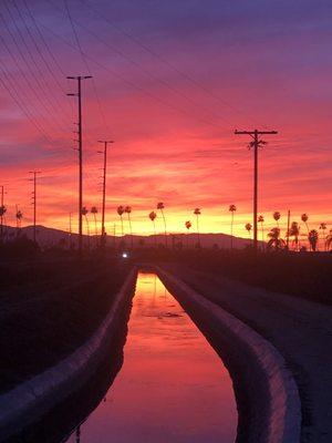 Gage Canal at sunset