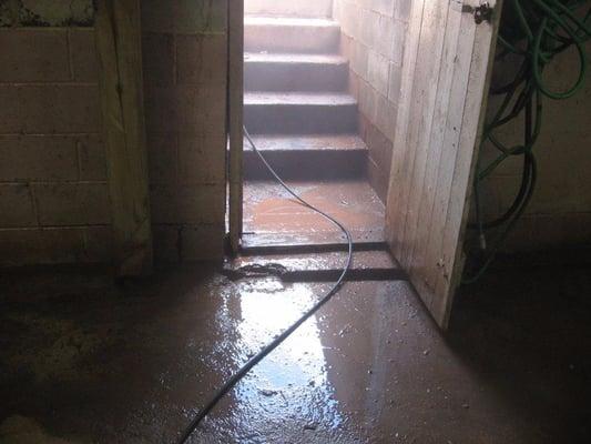 Flood cleaning service - BEFORE