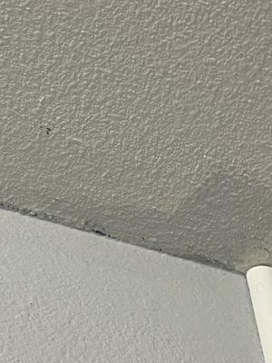 "Painted" ceiling after the workers stated the job was done in the upstairs bathroom