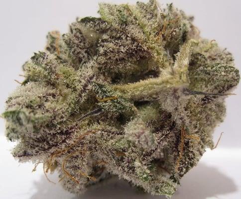 Blackberry Kush