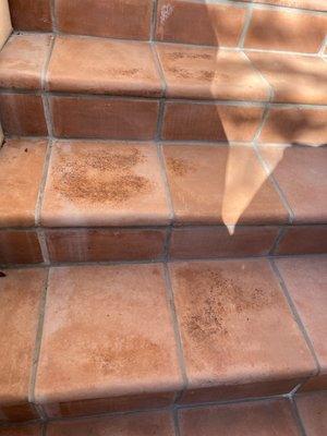 Excessive spalling on Arto's Cotto Gold concrete tile