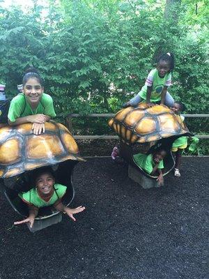 Bronx zoo trip