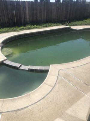 The pool before Glen's Pool Service arrived