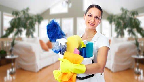 Professional House Cleaning and Maid Services