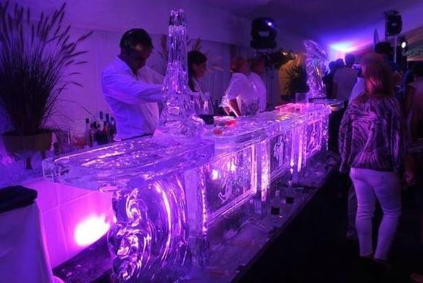 Ice Sculpture Pro