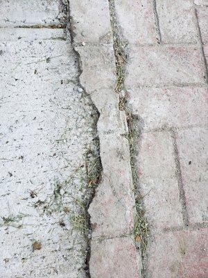 broke the township's brick sidewalk during 2nd attempt