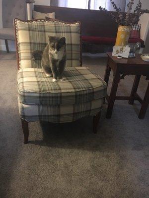 Scott stuffed and upholstered the seat, lining up the pattern perfectly!