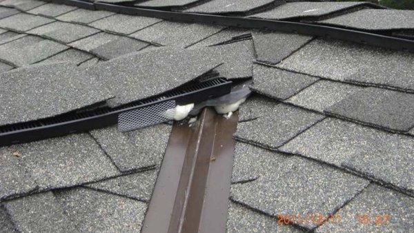 Roof repair