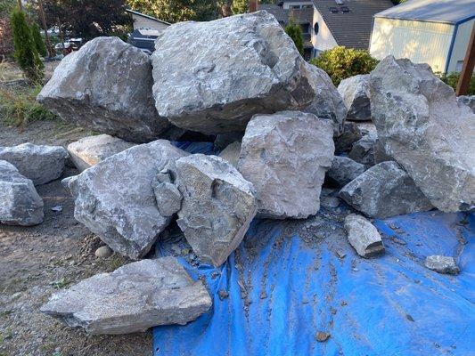 Here are some of the rocks we picked out.