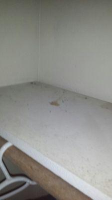 The top of my closet where they didn't clean out the rat droppings and refuse to send someone to clean it.