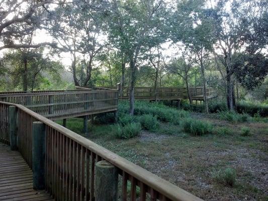 Elevated boardwalk across wetlands