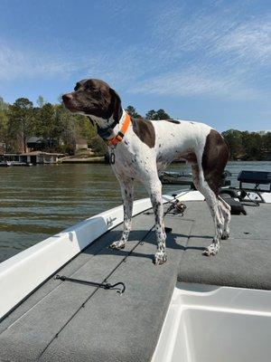 Mulberry Creek Kennels